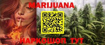 apvp Краснодар