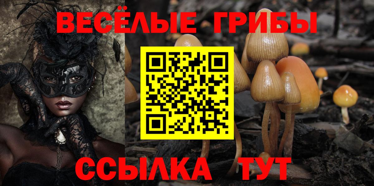 Псилоцибиновые грибы ЛСД Дедовск