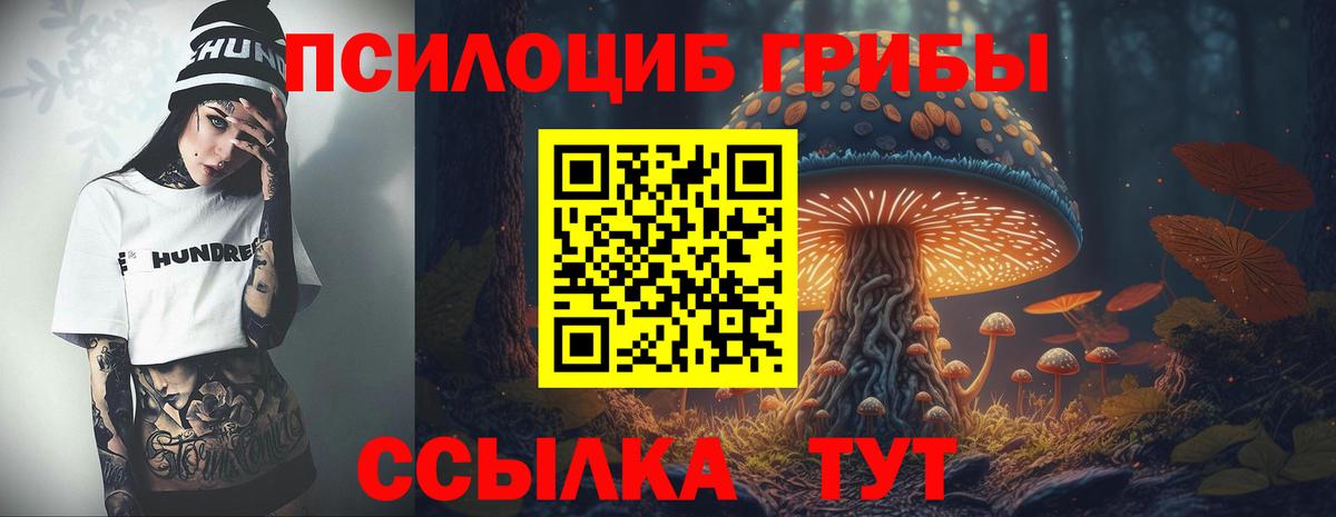 Дедовск  Псилоцибиновые грибы мухоморы  Вход с VPN 